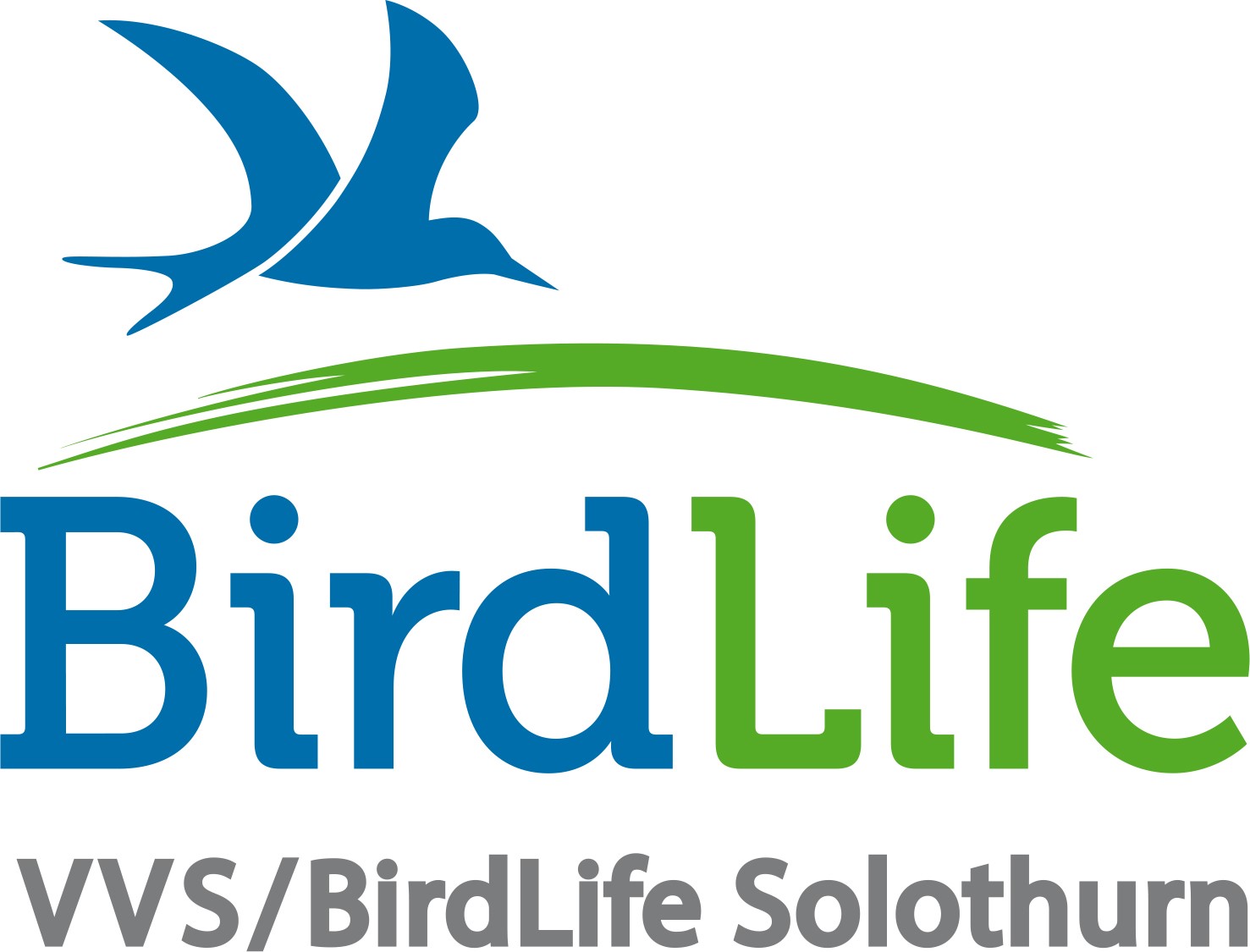 Logo_Birdlife_Solothurn_solothurn_de