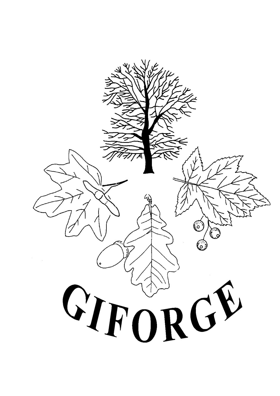 Logo_GIFORGE_geneve